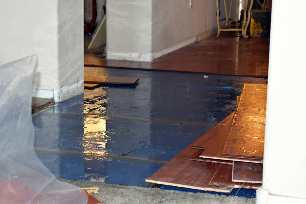 Professional Water Damage Restoration technician working in Cape Coral, FL